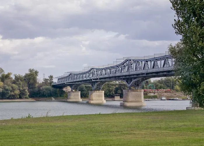 Vadvirag 5 By Dunavibe